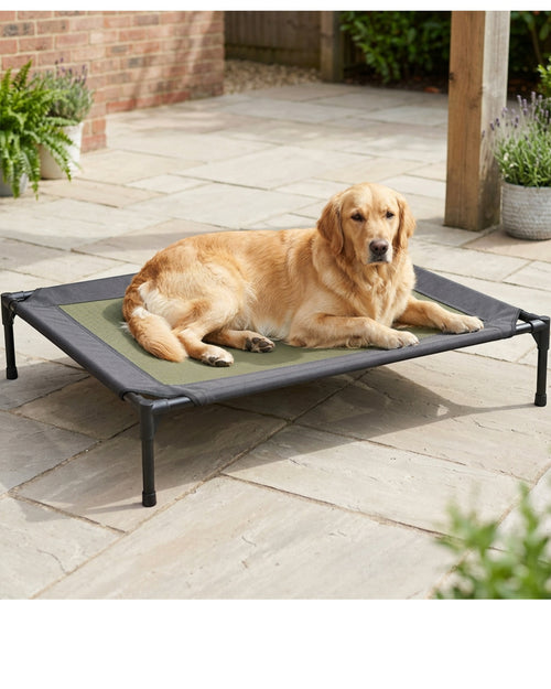 Zentran XL Elevated Mesh Dog Cot 120 x 80 cm Olive and Charcoal - Lifestyle view